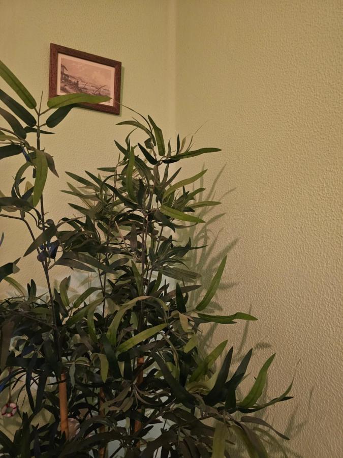 Habitacion Amplia Y Centrica En Piso Compartido А-Корунья Екстер'єр фото